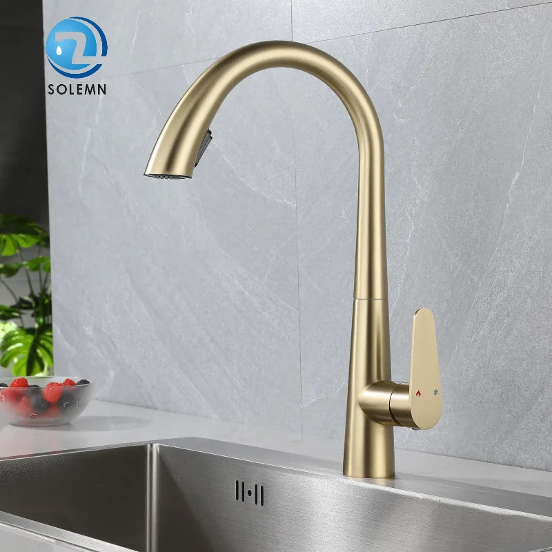 LustraGold Kitchen Faucet