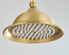 Aurevale RainSpa Shower Head