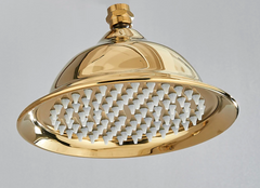 Aurevale RainSpa Shower Head