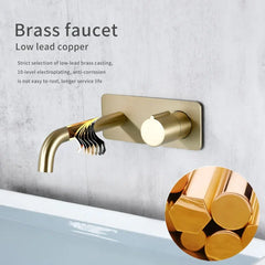 RoseVanta Wall Mount Bathroom Faucet