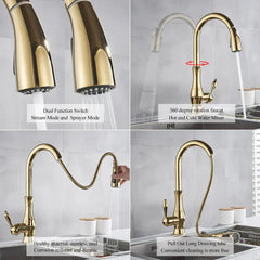 AurumFlex Luxe Kitchen Mixer