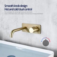 RoyalCascade Wall Mount Bathroom Faucet