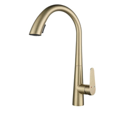 LustraGold Kitchen Faucet