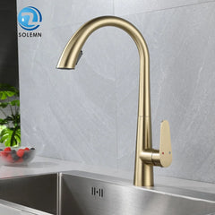 LustraGold Kitchen Faucet