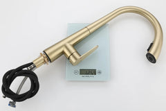 LustraGold Kitchen Faucet