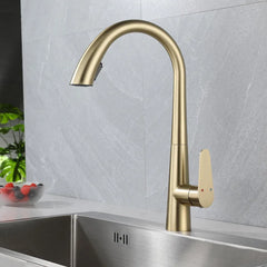 LustraGold Kitchen Faucet