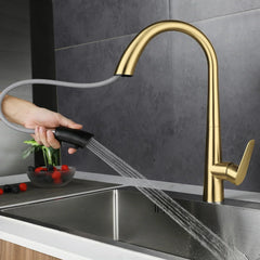 Aurevo Pull-Down Kitchen Mixer Tap