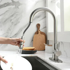 SilverGlide Pull-Out Kitchen Mixer Tap