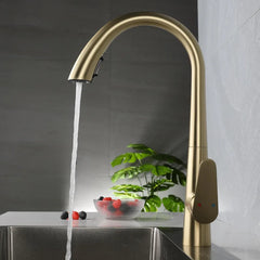 LustraGold Kitchen Faucet