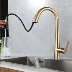 LustraGold Kitchen Faucet