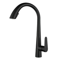 LustraGold Kitchen Faucet