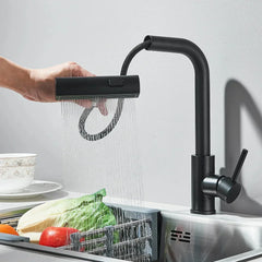 NoirSpray Pull-Down Kitchen Tap