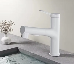 AquaClean Pull-Out Basin Mixer